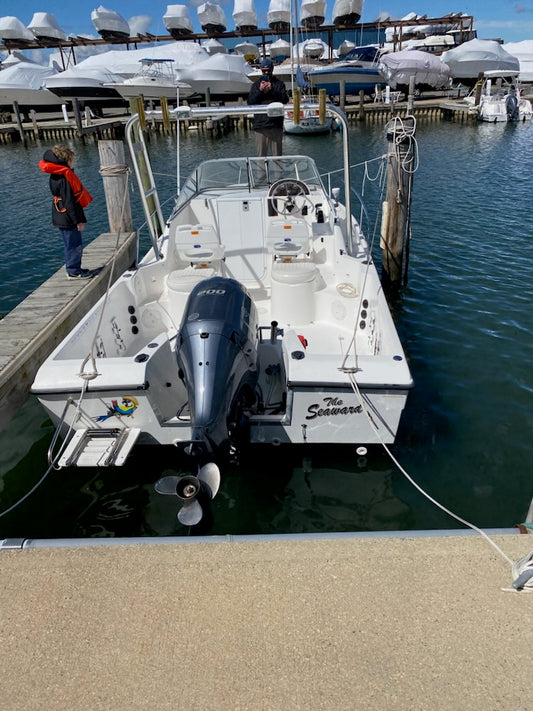 2004 2050 Pro Sport / Walk Around With A 2019 200 hp Yamaha