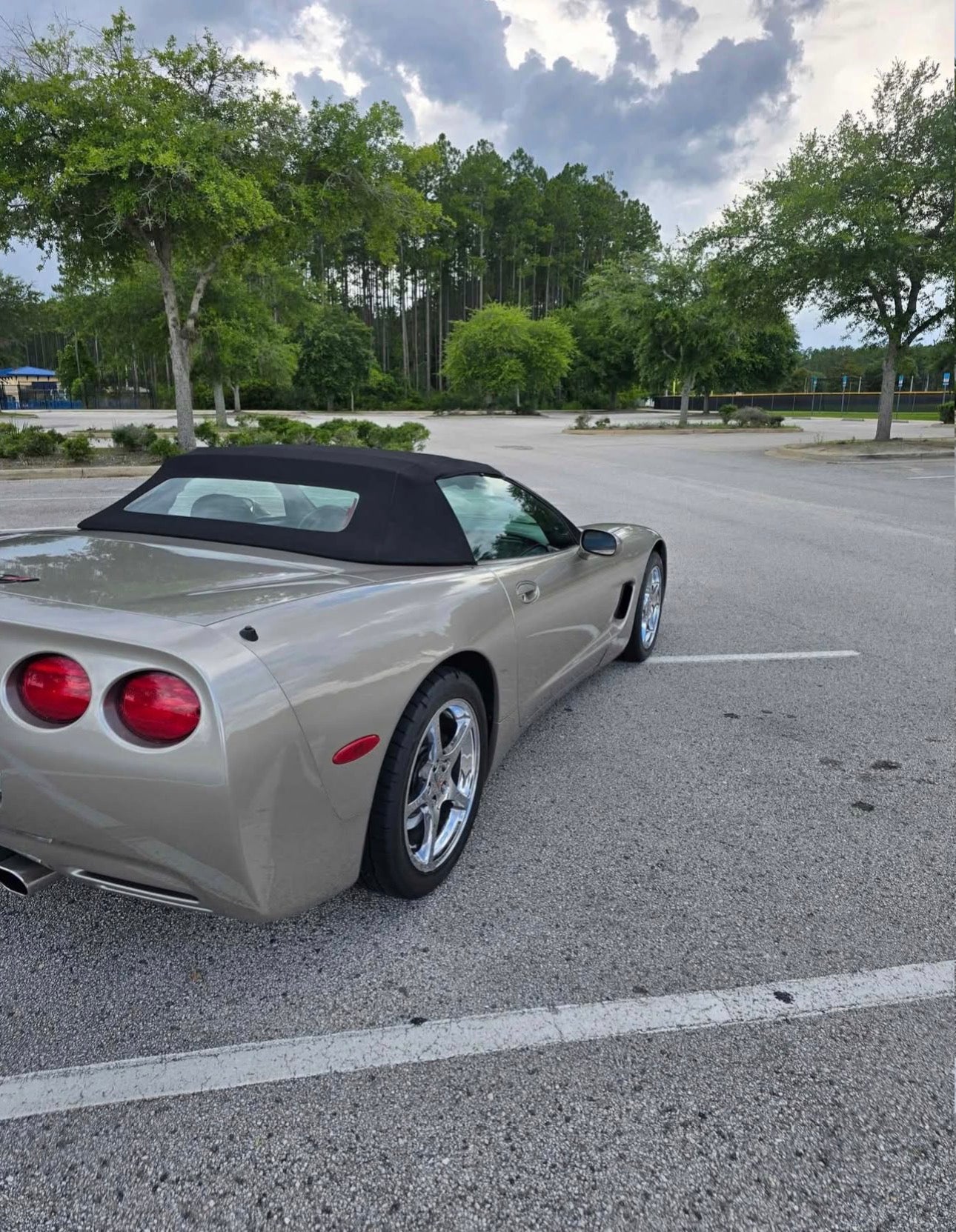 FOR SALE! TEXT 904-907-7422!     1999 C-5 Corvette Convertible 6 speed