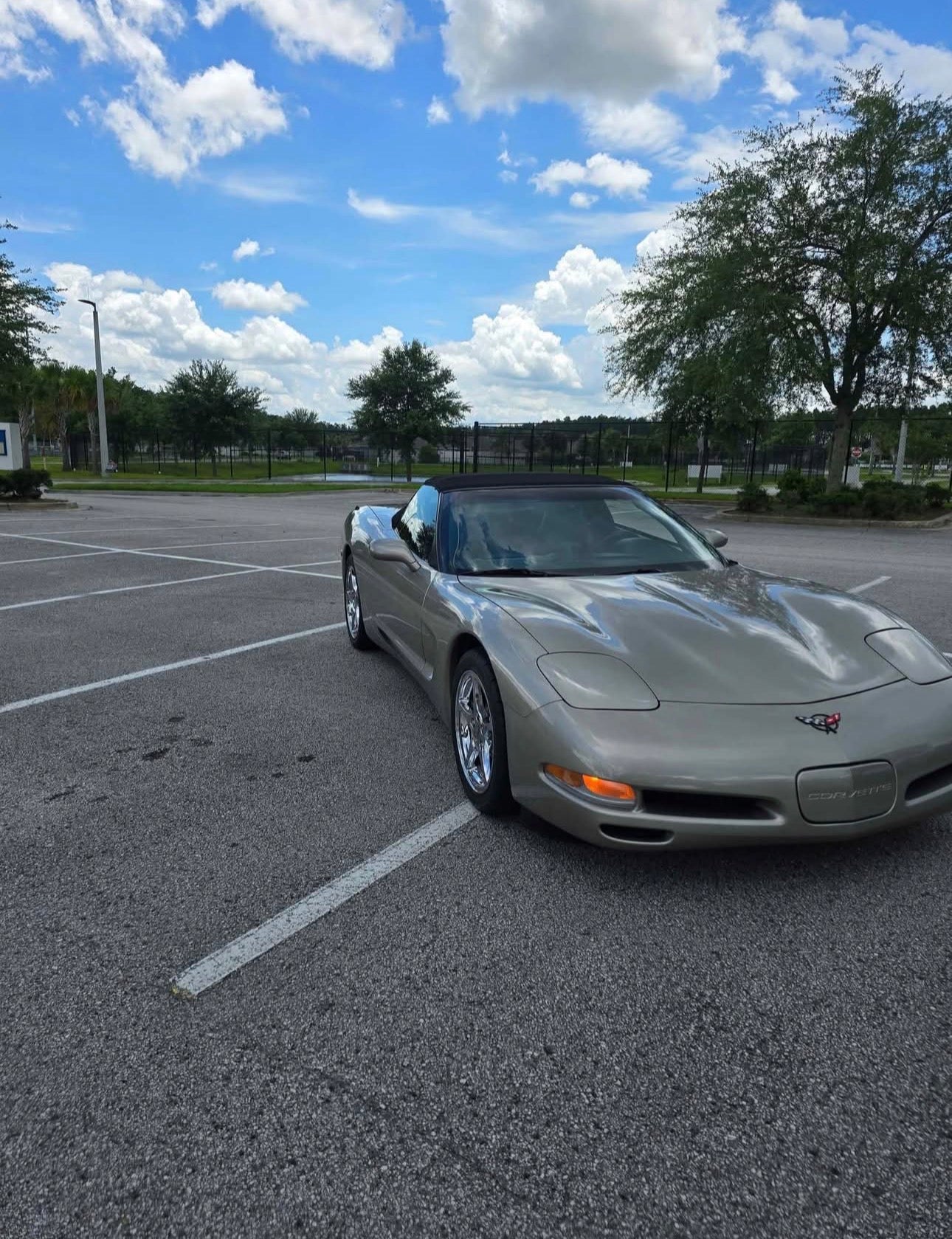 FOR SALE! TEXT 904-907-7422!     1999 C-5 Corvette Convertible 6 speed