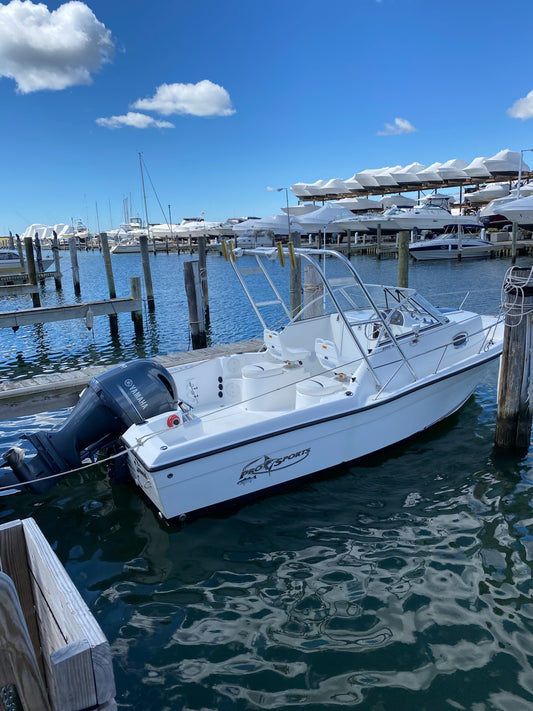 2004 2050 Pro Sport / Walk Around With A 2019 200 hp Yamaha