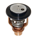 Thermostat Yamaha F175-F200 2012-Up