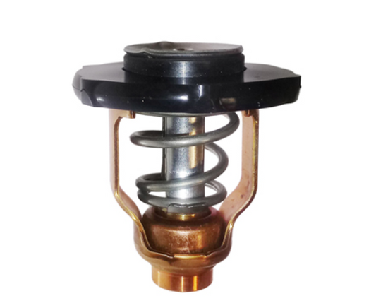Thermostat Yamaha F115 2006-Late