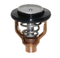Thermostat Assy OEM Yamaha F300 & F350