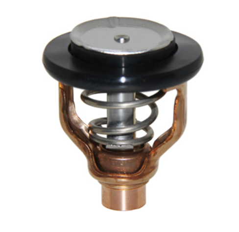 Thermostat Assy OEM Yamaha F300 & F350