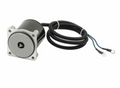 Trim Motor 4 Bolt