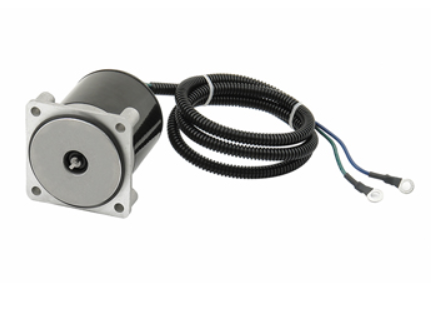 Trim Motor 4 Bolt